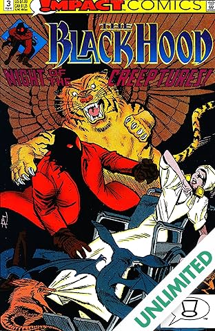 The Black Hood (Impact Comics) #3